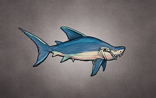 shark artwork HD wallpaper