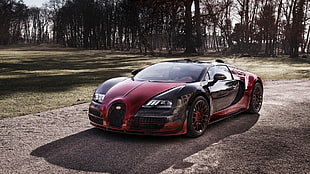 red and black Bugatti Veyron coupe, car