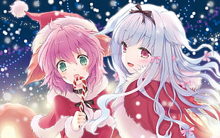 pink and gray haired girls illustration