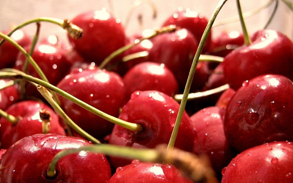closeup photo of cherries HD wallpaper