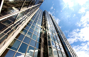 glass framed building during daytime, essen