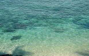 green and white area rug, beach, photography, nature, water