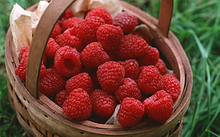 raspberries in brown wicker basket