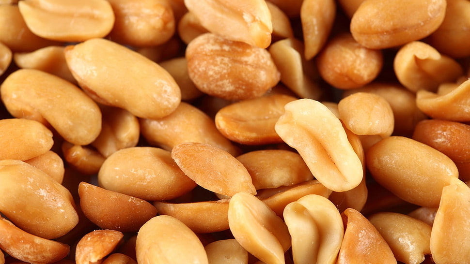 brown peanuts lot HD wallpaper