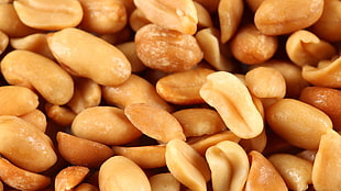 brown peanuts lot