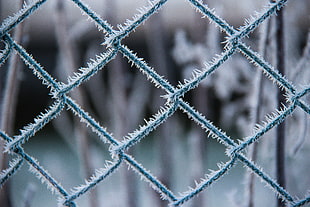 frosted metal screen fence macro photography
