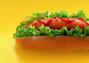 hotdog sandwich with lettuce