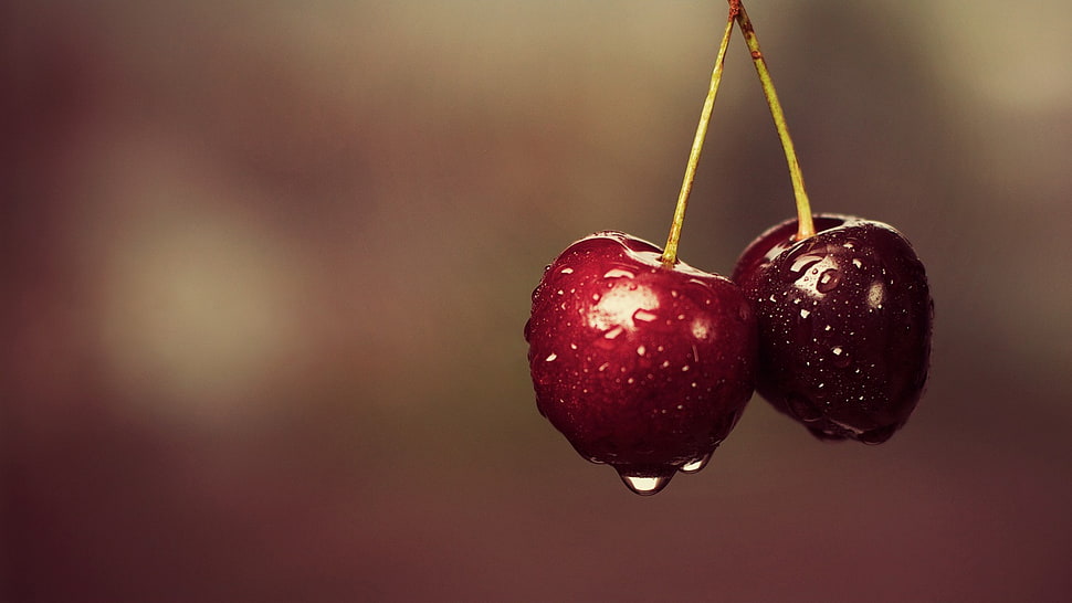 ripe cherries, macro, cherries, water drops HD wallpaper