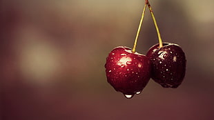 ripe cherries, macro, cherries, water drops