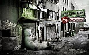 white polar bear, polar bears, digital art, animals
