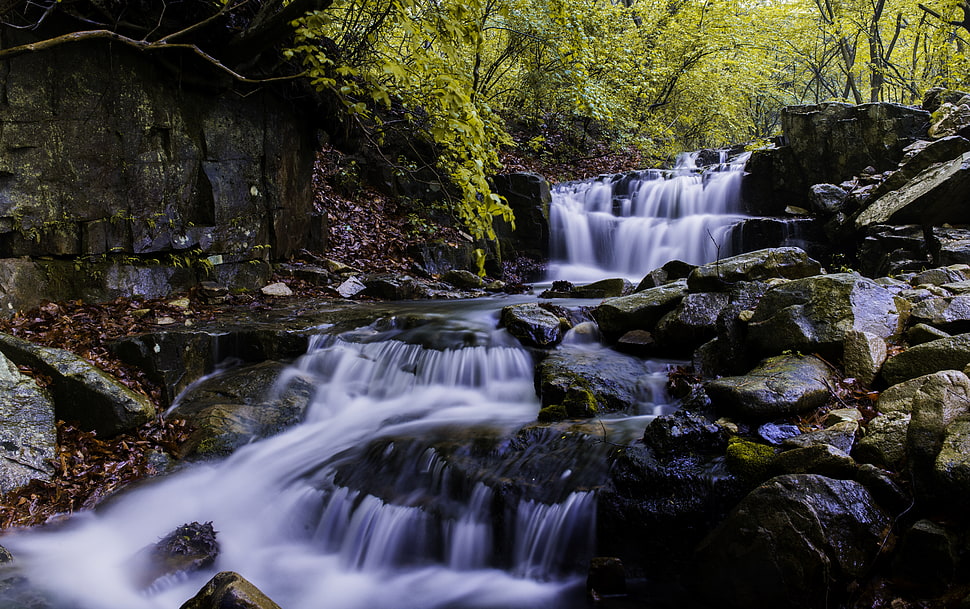 time lapse photography of waterfalls surrounded by trees at daytime HD wallpaper