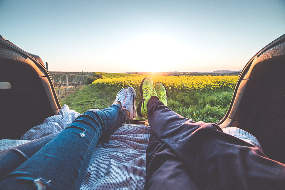 2 People Sitting With View of Yellow Flowers during Daytime HD wallpaper