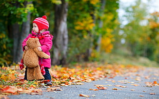 todder holding teddy bear standing near trees on road HD wallpaper