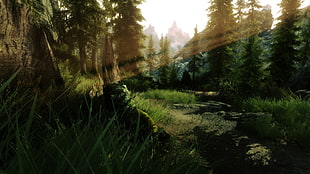 green leafed trees, The Elder Scrolls V: Skyrim, video games