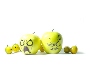 apple fruit, humor, fruit, apples HD wallpaper