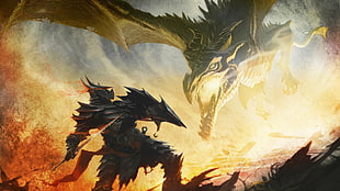 gray dragon and knight illustration