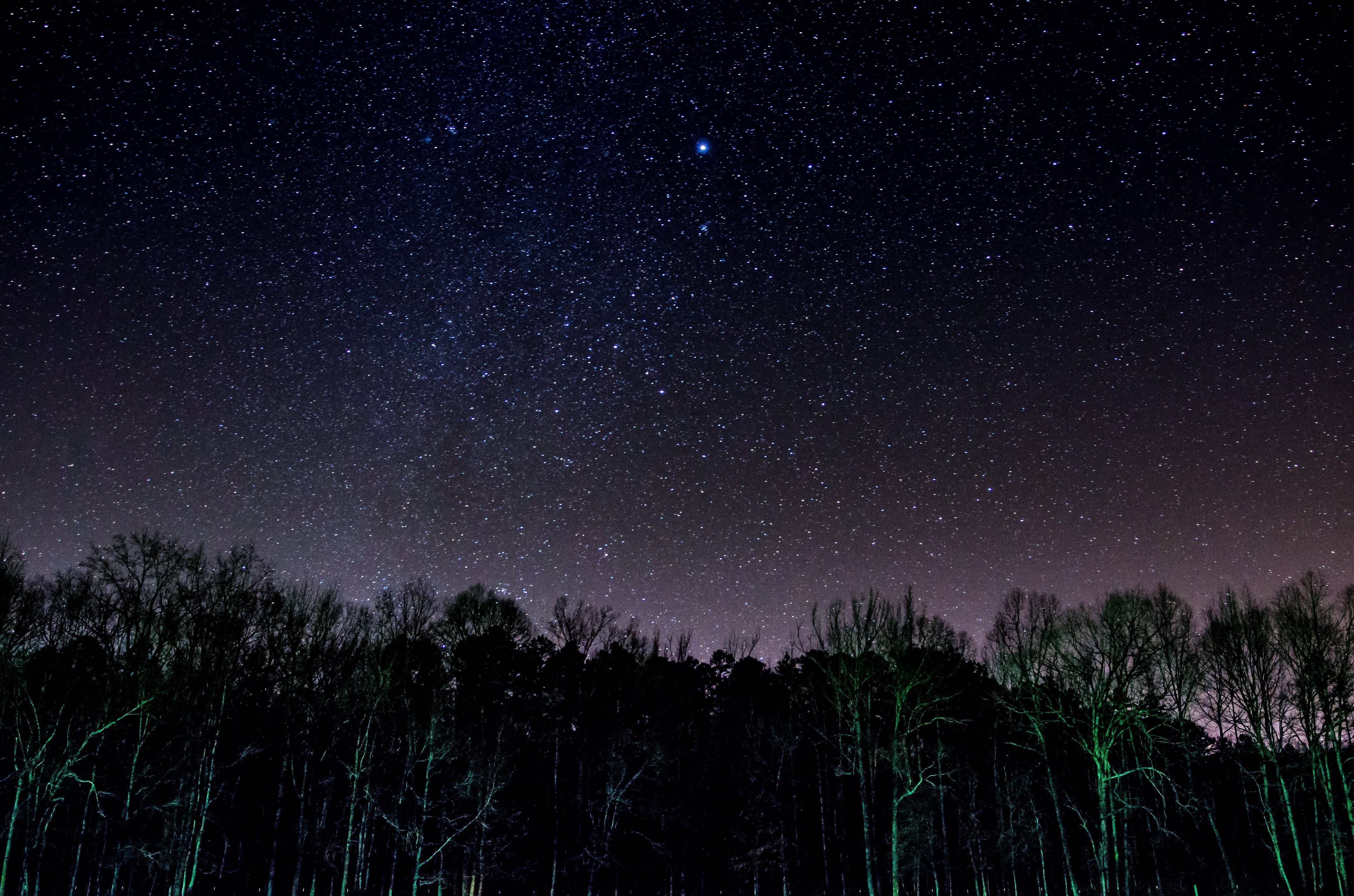 black trees, Starry sky, Trees, Night