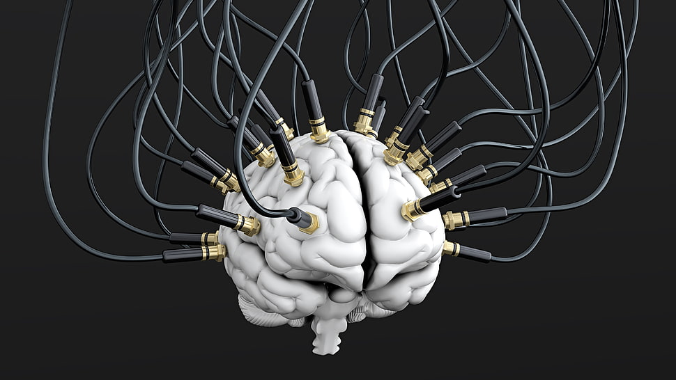 white and black ceramic figurine, brain, technology, digital art, connectivity HD wallpaper
