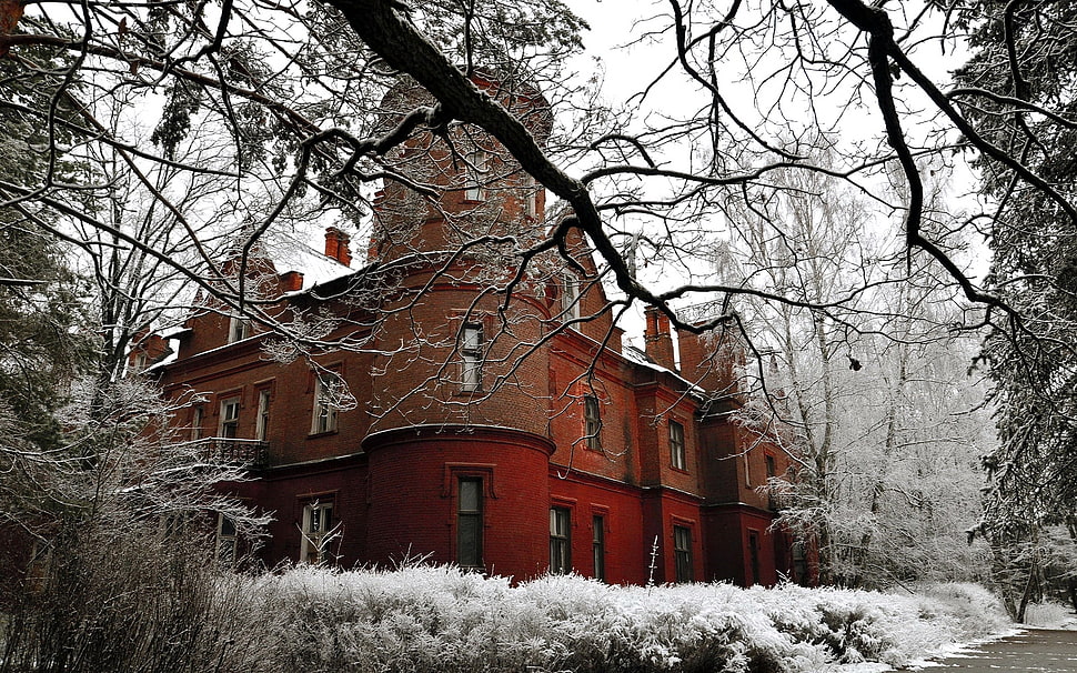 brown and red 2-layer house near trees HD wallpaper