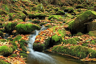 body of water between of green field HD wallpaper