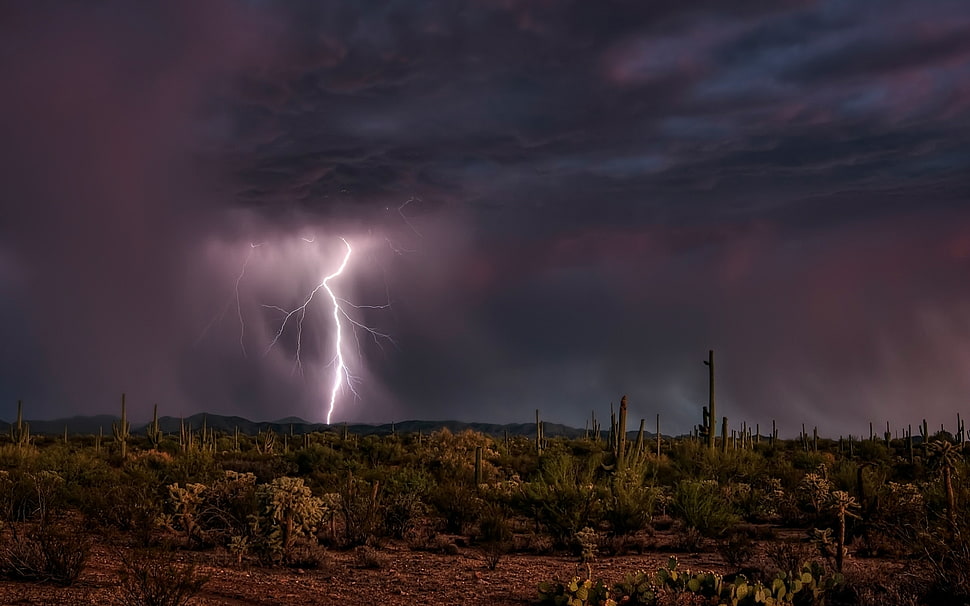 panoramic photography of land field struck by a lightning HD wallpaper