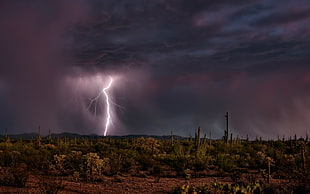 panoramic photography of land field struck by a lightning