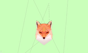 brown and white fox logo, fox, abstract, geometry, fox cubs 