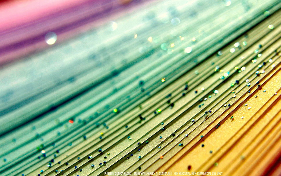macro HD wallpaper