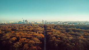 bird's eye view photography of straight road towards city HD wallpaper