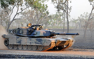 grey and black military tank near trees photo taken during daytime