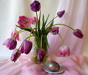 purple Tulip flowers in clear glass vase HD wallpaper