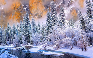 artwork of landscape covered with snow, winter, Yosemite National Park, river, cold