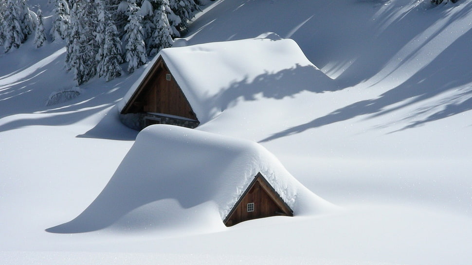 snow covered houses under sunny sky HD wallpaper