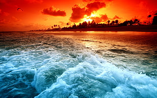 seawaves during golden hour HD wallpaper