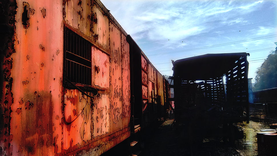 orange container van, old, rust HD wallpaper