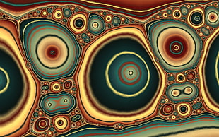 green and brown slotted illustration