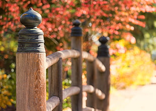 shallow focus photography of brown and black wooden handrail