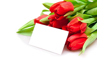 red petaled flowers with white card