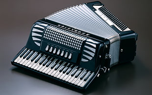 gray and black accordion on gray surface
