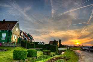 green and brown house near bushes, marken, netherlands HD wallpaper