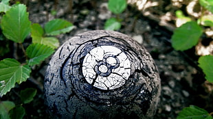 round black and white metal tool, nature, 8-ball