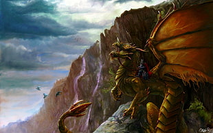 knight riding dragon digital wallpaper, dragon