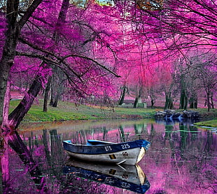 blue and white boat and pink tree, happy