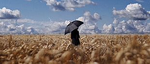 person in black shirt holding black umbrella standing in the middle of brown plants under blue sky during daytime