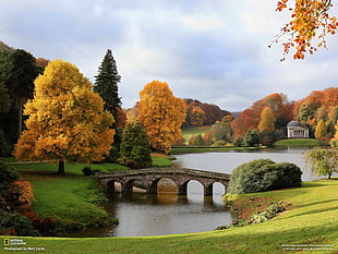green leafed trees, National Geographic, pond, bridge, fall