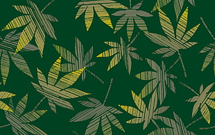 cannabis print textile HD wallpaper