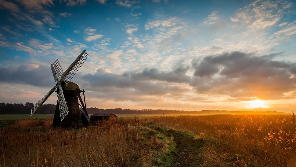 brown and gray windmill, nature, landscape HD wallpaper