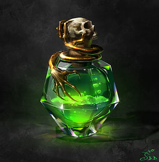 green and gray potion bottle illustration, Vera Velichko, potions, Poison, skull HD wallpaper
