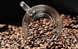 clear glass cup with coffee beans HD wallpaper