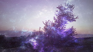 tree surrounded by purple fog HD wallpaper